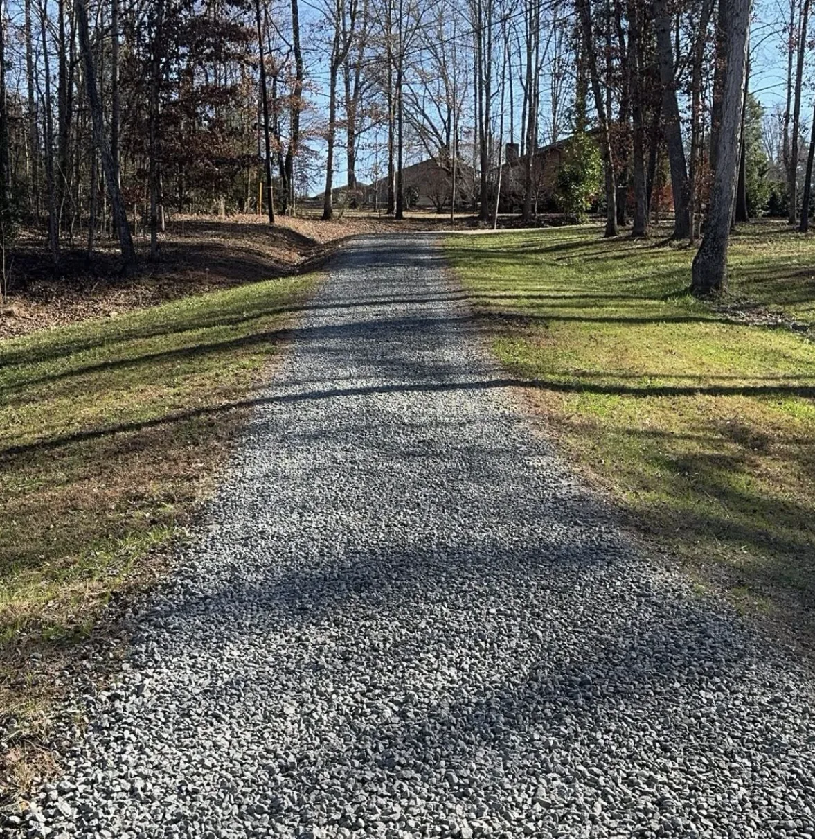 Finished gravel driveway graded through a stand of trees