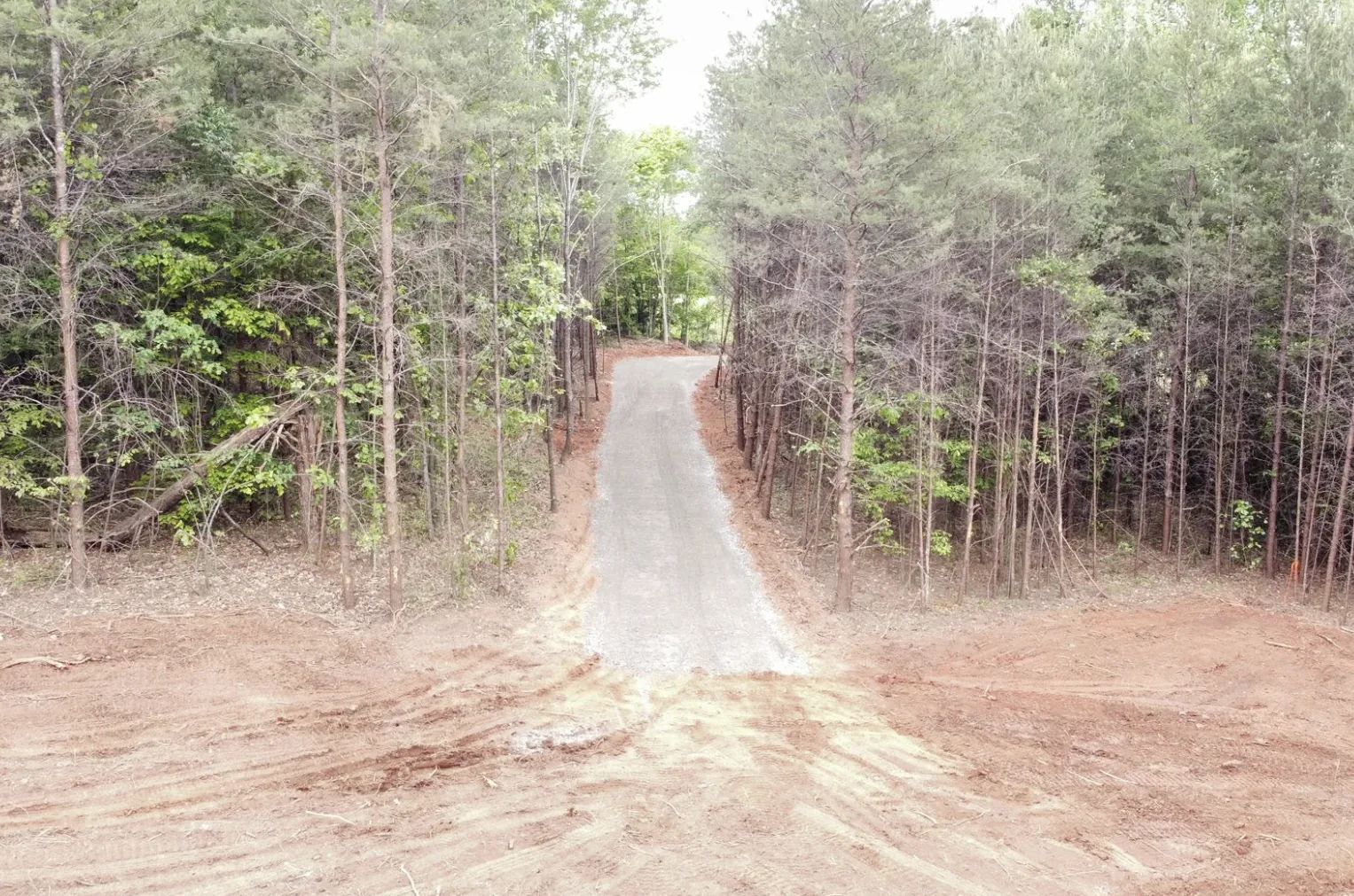 Freshly built gravel road cut and graded between rows of pines